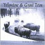 Yellowstone & Grand Teton Wildlife Portfolio