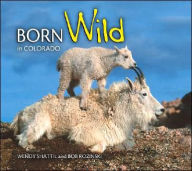 Title: Born Wild in Colorado, Author: Wendy Shattil