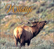 Title: Idaho Wildlife Impressions, Author: William H. Mullins