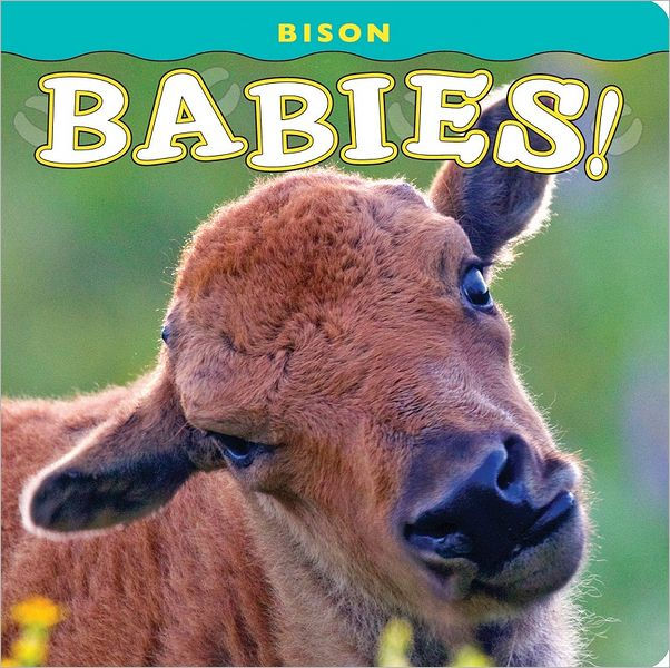Bison Babies by Donald M. Jones, Board Book Barnes & Noble®