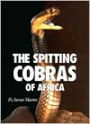The Spitting Cobras of Africa