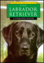 The Labrador Retriever