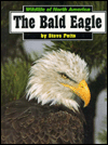 The Bald Eagle