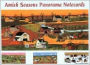 Amish Seasons Panorama Boxed Notecards