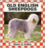 Old English Sheepdogs