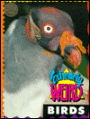 Extremely Weird Birds