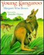Young Kangaroo