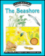 Seashore