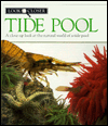 Look Closer: Tide Pool