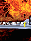 Redesigning Web Sites: Retooling for the Changing Needs of Business