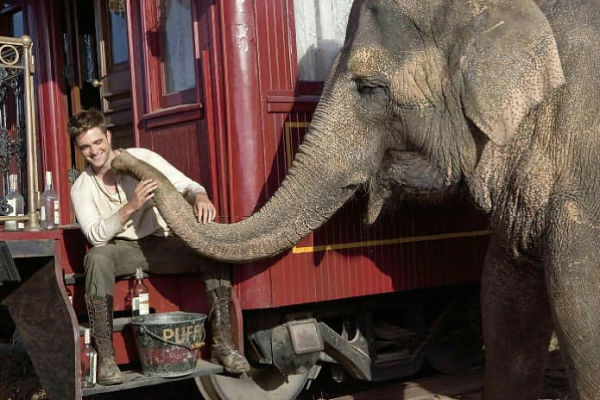 Water for Elephants: A Novel