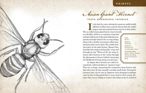 Wicked Bugs: The Louse That Conquered Napoleon's Army & Other Diabolical Insects
