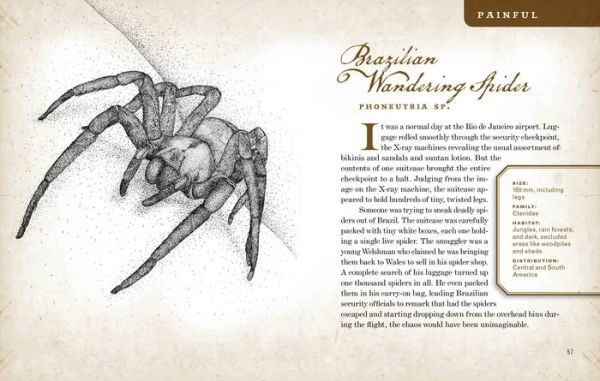 Wicked Bugs: The Louse That Conquered Napoleon's Army & Other Diabolical Insects