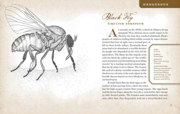 Wicked Bugs: The Louse That Conquered Napoleon's Army & Other Diabolical Insects