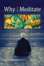 Why I Meditate: Reflections of a Neural Surfer