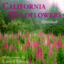 California Wildflowers: Littlebook
