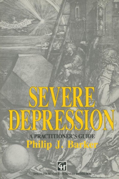 Severe Depression: A practitioner's guide / Edition 1
