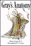 Gray's Anatomy