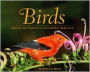 Birds: Images of Hawaii's Feathered Heritage