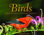 Birds: Images of Hawaii's Feathered Heritage