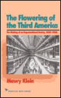 The Flowering of the Third America: The Making of an Organizational Society, 1850-1920