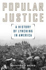 Popular Justice: A History of Lynching in America