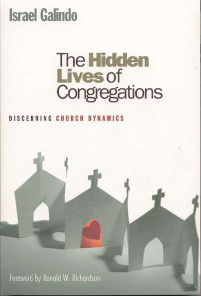 The Hidden Lives of Congregations: Discerning Church Dynamics
