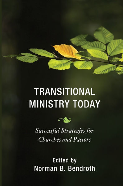 Transitional Ministry Today: Successful Strategies for Churches and Pastors