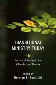Title: Transitional Ministry Today: Successful Strategies for Churches and Pastors, Author: Norman B. Bendroth