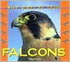 Falcons