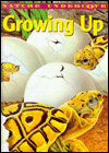 Growing Up