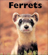 Ferrets