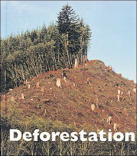 Deforestation