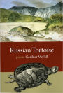Russian Tortoise