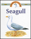 The Seagull