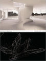 Contested Symmetries: And Other Predicaments in Architecture