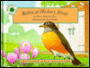 Robin at Hickory Street (Smithsonian's Backyard Series)