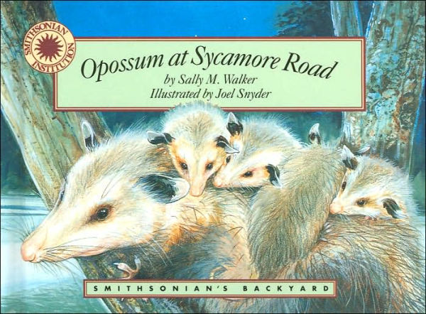 Opossum at Sycamore Road (Smithsonian's Backyard Series)