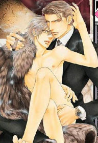 Finder, Volume 6: Passion Within The Viewfinder (Yaoi Manga)