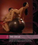 Alternative view 4 of 365 Sex Positions: A New Way Every Day for a Steamy, Erotic Year