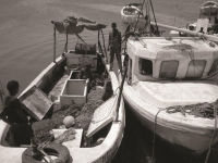 Alternative view 4 of Pirate State: Inside Somalia's Terrorism at Sea