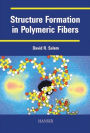 Structure Formation in Polymeric Fibers