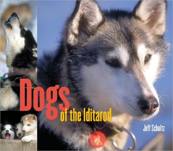 Dogs of the Iditarod