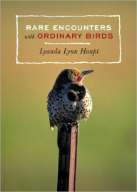 Title: Rare Encounters with Ordinary Birds, Author: Lyanda Lynn Haupt