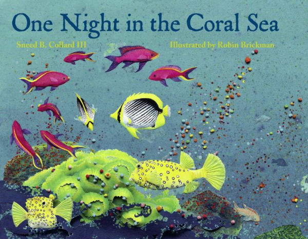 One Night in the Coral Sea