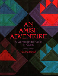 An Amish Adventure, 2nd Edition - Print On Demand Edition / Edition 2