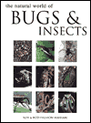 The Natural World of Bugs and Insects