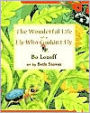 The Wonderful Life of a Fly Who Couldn't Fly