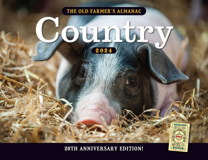 The 2024 Old Farmer #39 s Almanac Country Calendar by Old Farmer #39 s Almanac