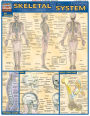 Skeletal System: QuickStudy Laminated Reference Guide